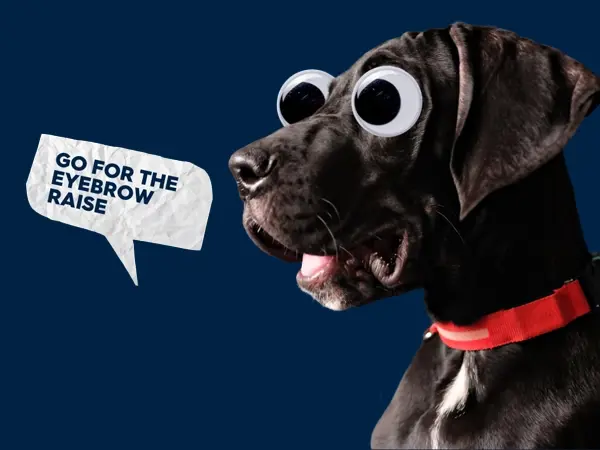 How Can Marketing Campaigns Be 11x More Effective thumbnail