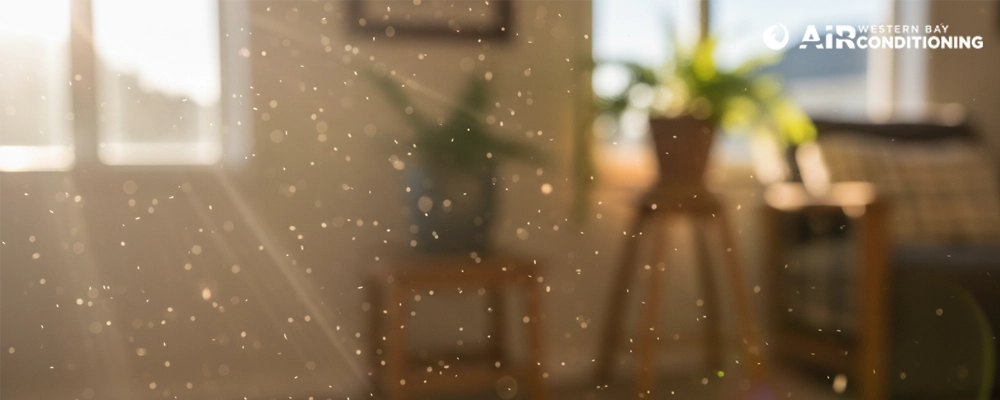 Why You Should Prioritise Your Home’s Air Health
