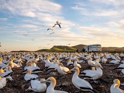 Gannet Safaris Overland  thumbnail