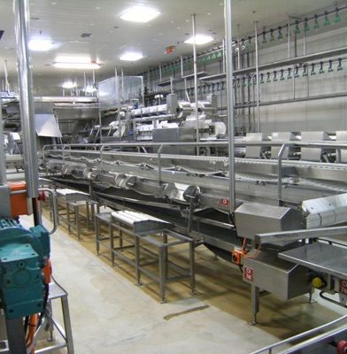 Food Processing