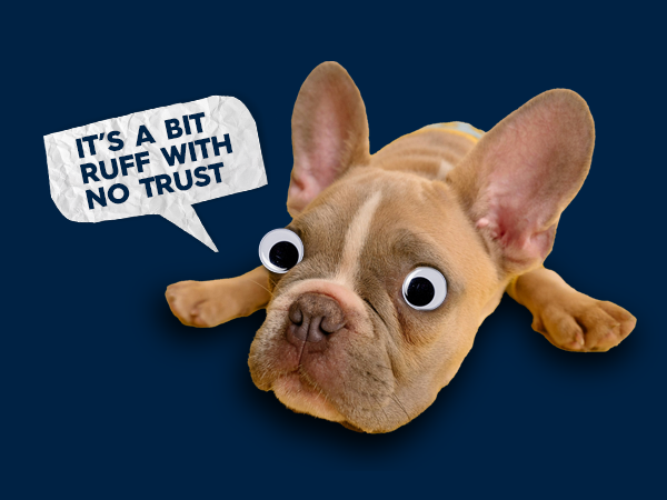 The Importance of Trust in B2B Relationships thumbnail