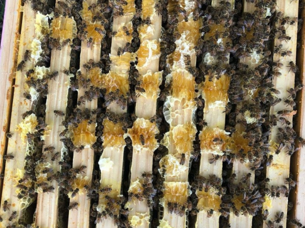 Activity Name thumbnail