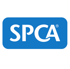 SPCA