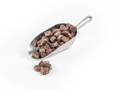 Gallery thumbnail - 11