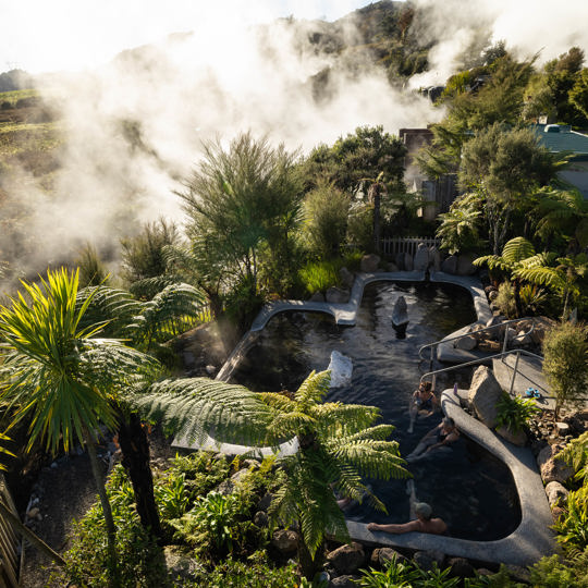 The Garden Pool