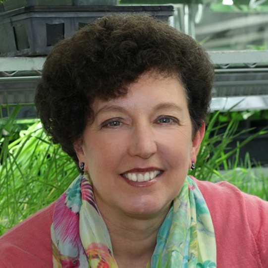 Pam Marrone profile picture