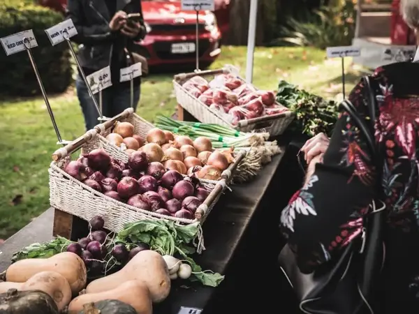 Hawke's Bay Farmers Market - 2