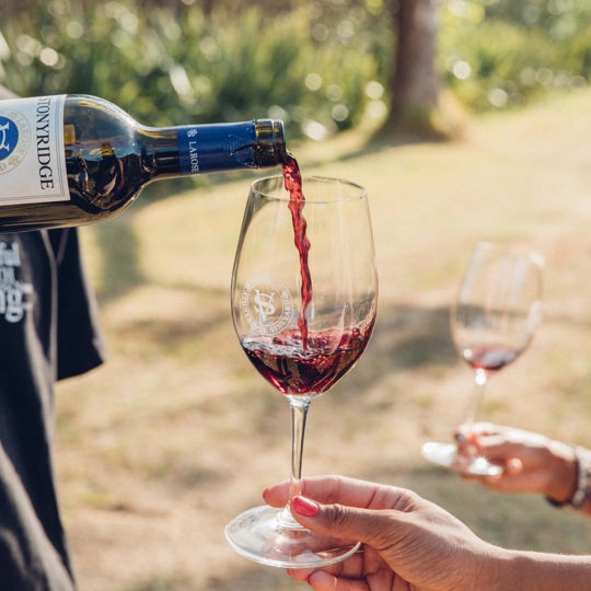 Onetangi Wine, Vineyards & Seaview Dining
