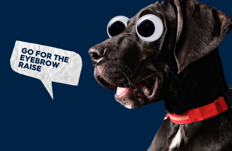 How Can Marketing Campaigns Be 11x More Effective thumbnail