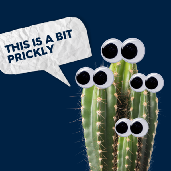 Building Trust in Practice