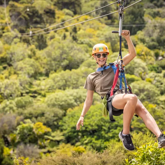 EcoZip Adventure