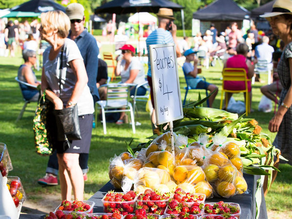 Hawke's Bay Farmers Market - 1