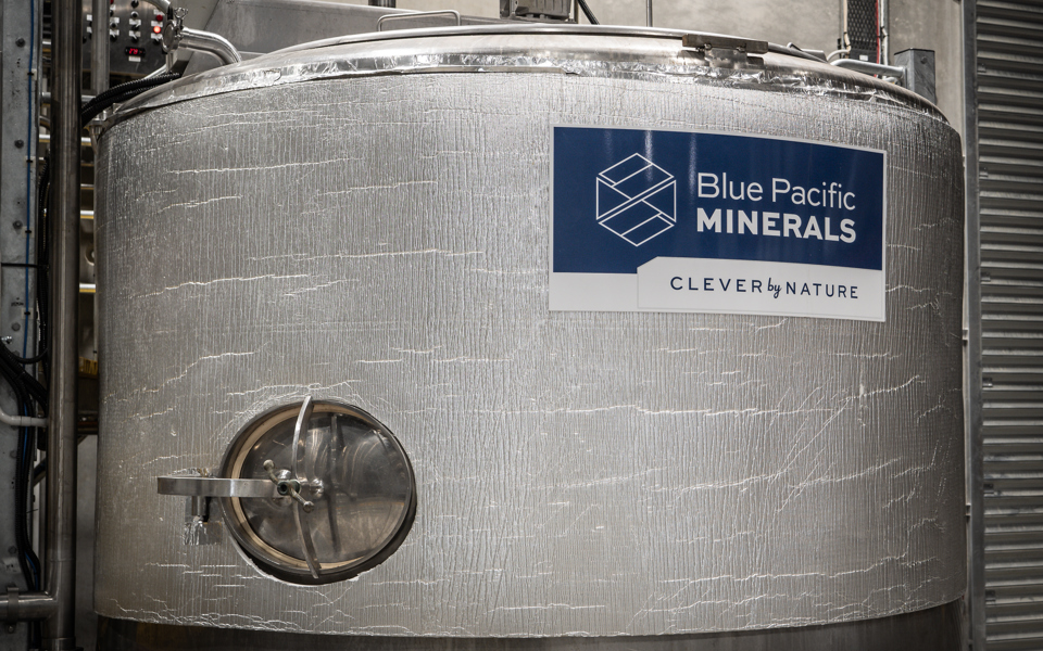 Blue Pacific Minerals, Tokoroa thumbnail