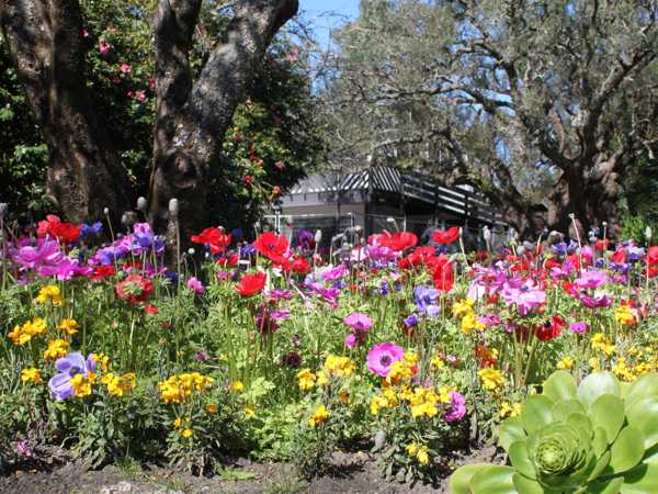 Keirunga Gardens & Railway - 1