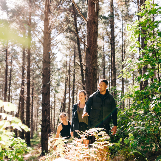 Woodhill Forest