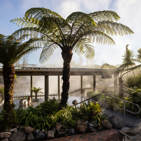 The Pergola Pool