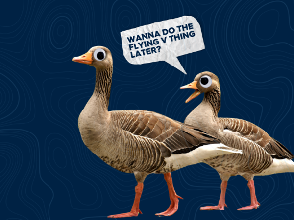 A marketing strategy vs a plan  thumbnail