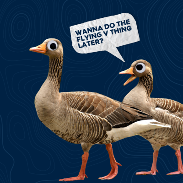 What Strategy Is Not