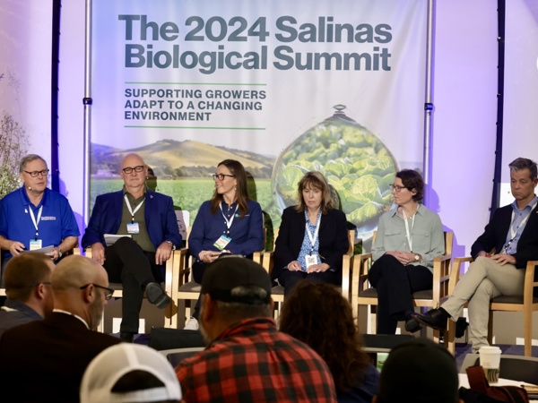 The Platform10 Global Partner Network is launched! thumbnail