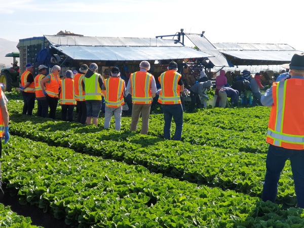 Welcome to the Platform10 Website thumbnail