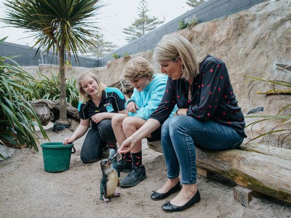 National Aquarium of New Zealand - 1