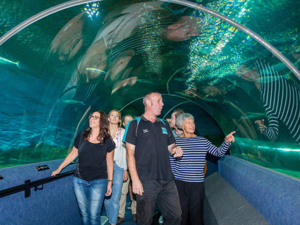 National Aquarium of New Zealand - 2
