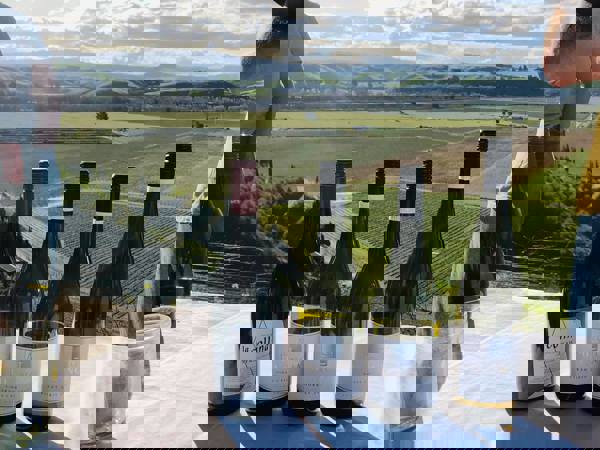 Prinsy's Wine Tours - 1