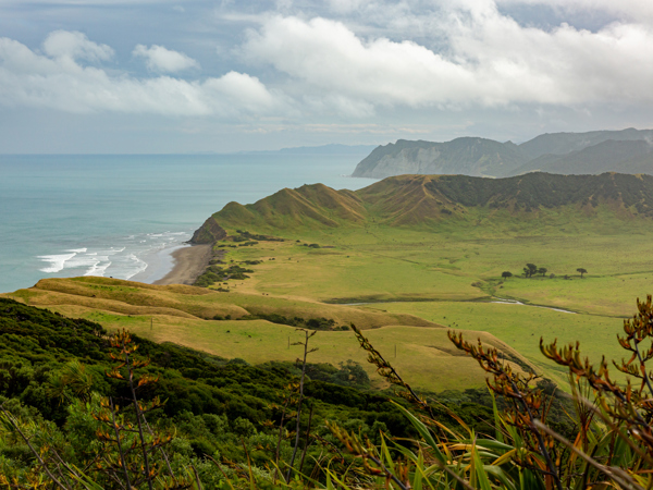 Future-proof infrastructure for Potaka School thumbnail