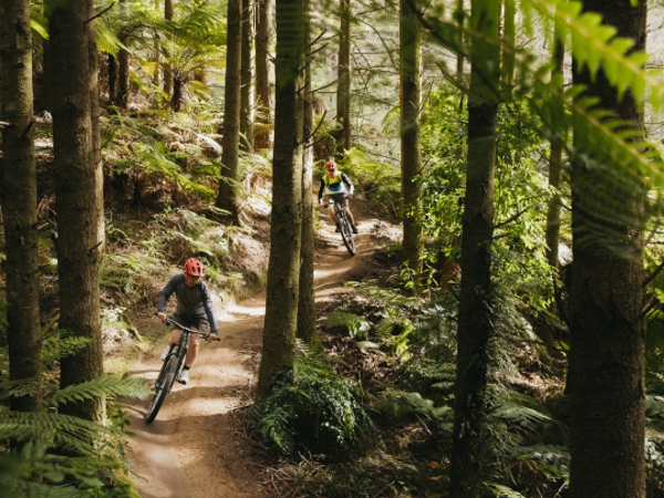 Activity Name thumbnail