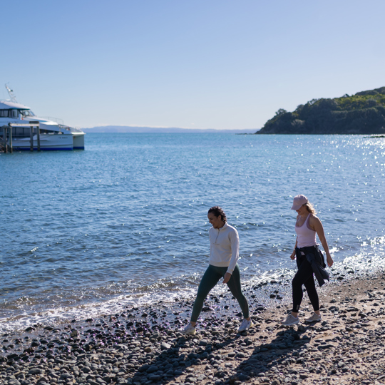 Tiritiri Matangi Island