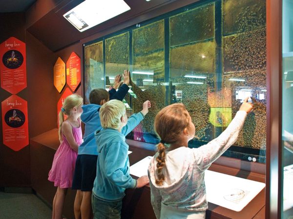 Arataki Honey Visitor Centre - 1