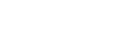 Ferndale Logo White