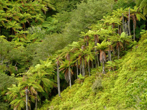 Why go passive? thumbnail