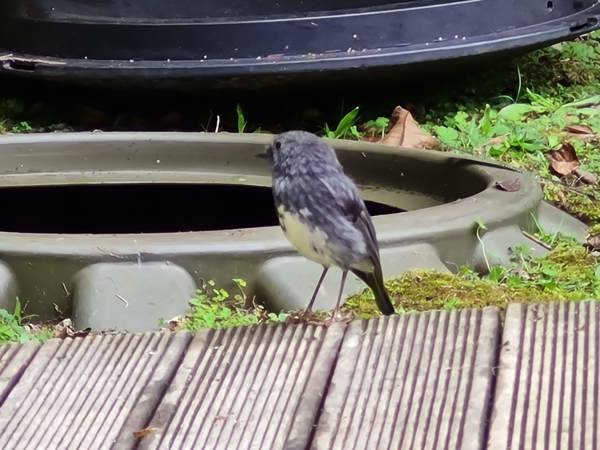 Worm care 101 thumbnail