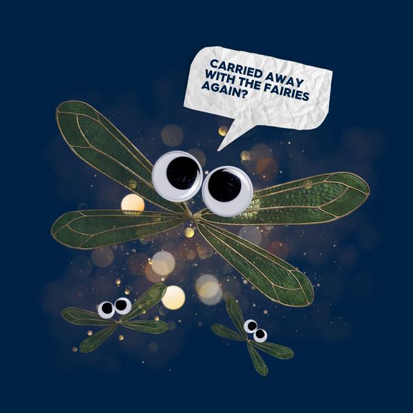 Frustrations with sales