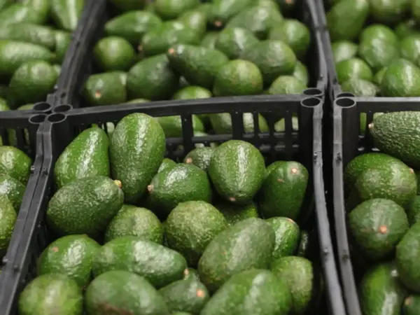 Manufacturing Experts & IIoT Technology Leaders Join Forces to Deliver End-to-End Traceability for the Fresh Food Sector