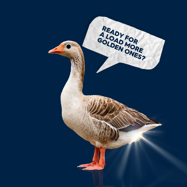 How businesses empower their teams to succeed